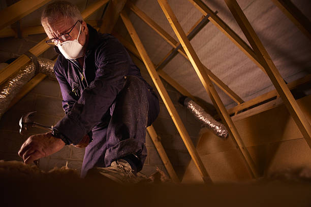 Best Specialty Insulation in Jasper, TX